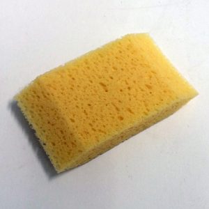 Sponge